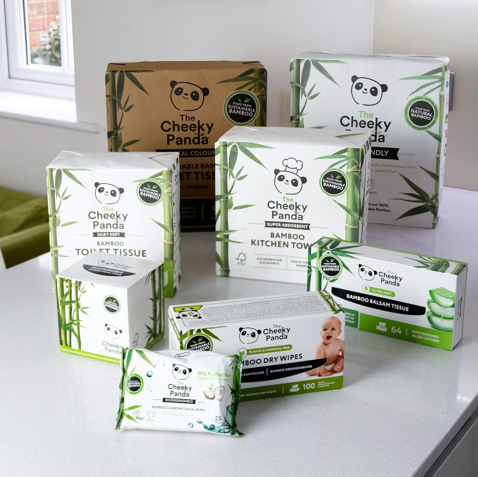 Carton Boxes packaging