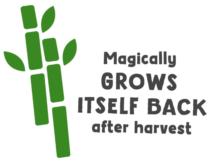Green bamboo stalks and leaves on a white background, accompanied by text 'Magically GROWS ITSELF BACK after harvest'.