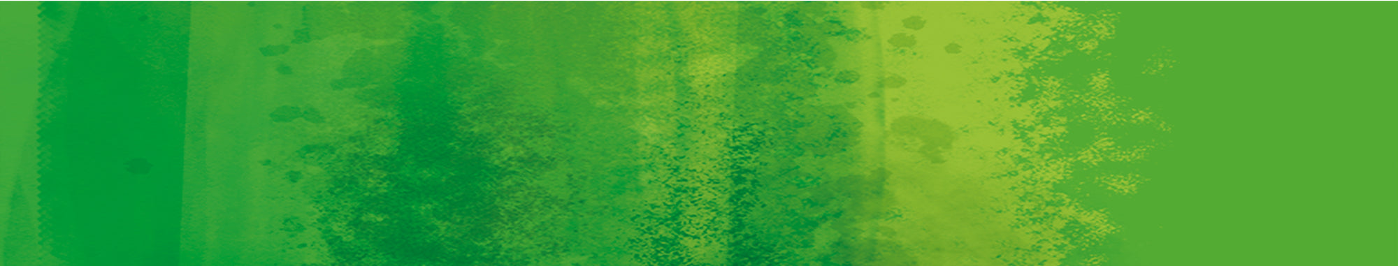 Why Bamboo?