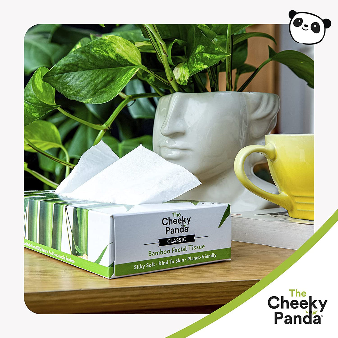 Flat Bamboo Boxes of Tissues | 12 Boxes - Cheeky Panda