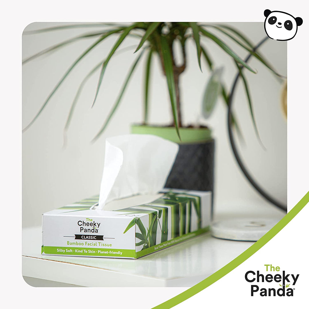 Flat Bamboo Boxes of Tissues | 12 Boxes - Cheeky Panda