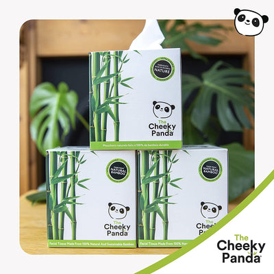 Cube Boxes of Tissues | 12 Boxes - Cheeky Panda