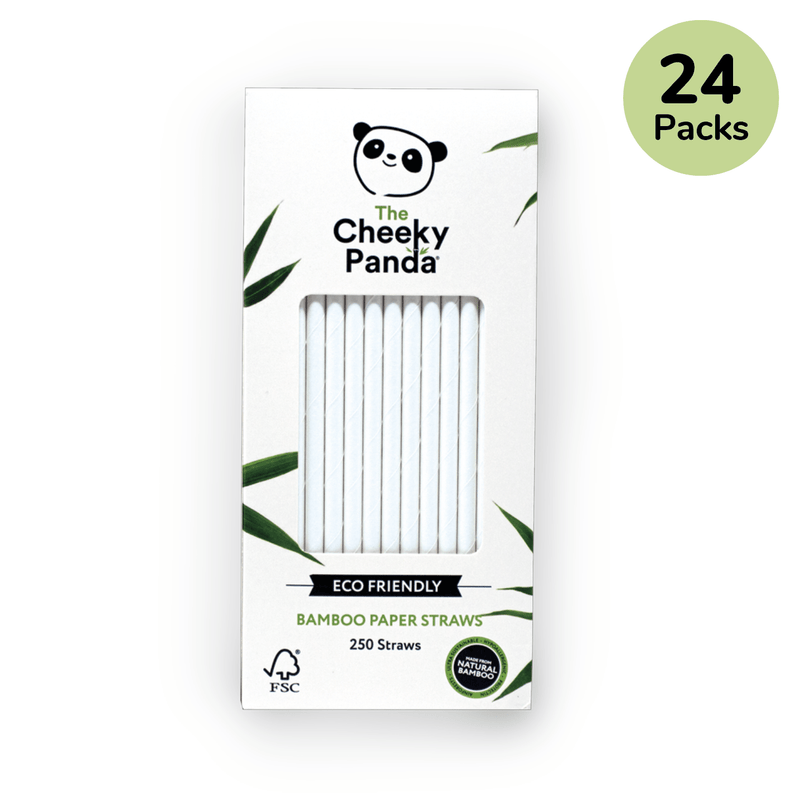 Bamboo Straws Bulk Box - The Cheeky Panda UK