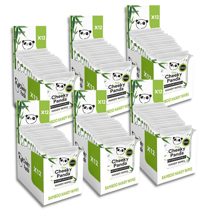 Biodegradable Handy Wipes - Cheeky Panda