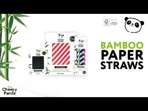 Bamboo Paper Sip Straws (Bulk 24 case)